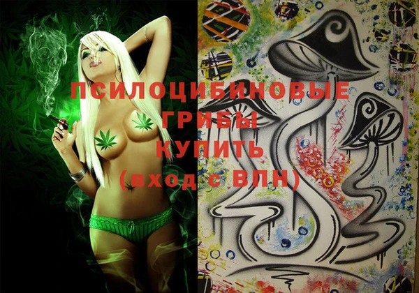 спиды Заволжск