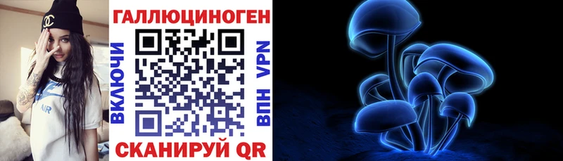 Купить закладки  Курган  Галлюциногенные грибы MAGIC MUSHROOMS 